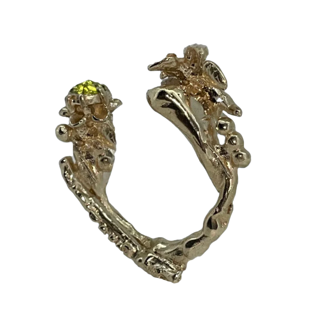 Flute ring